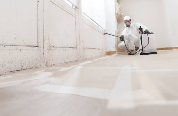 24/7 Emergency Mold Testing experts in Hershey, PA